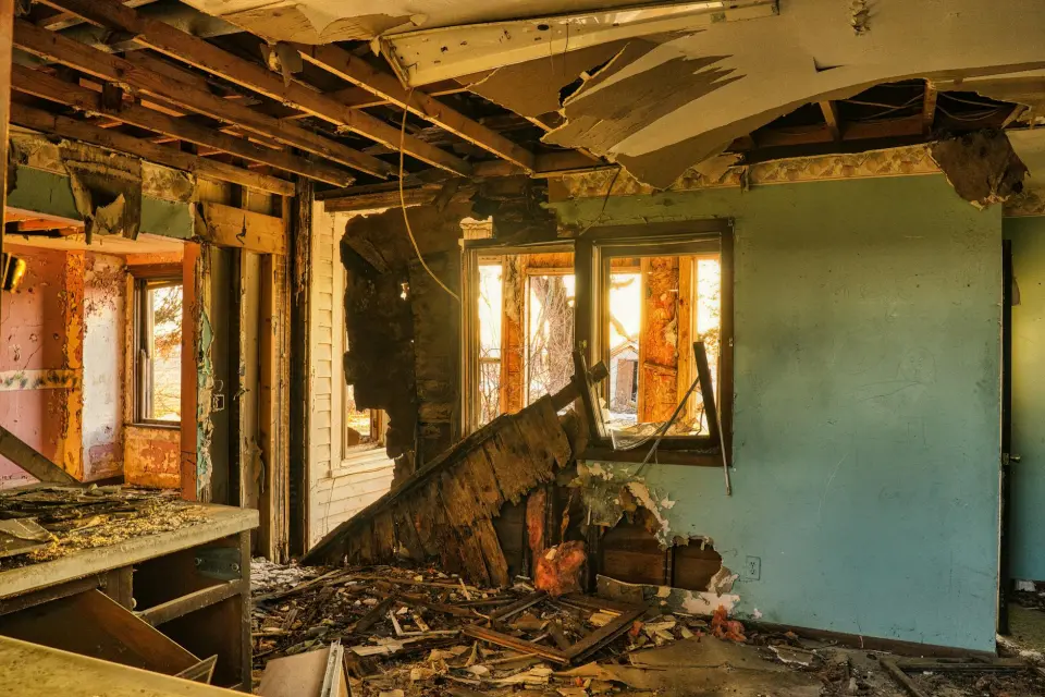 Royal Peak Mold Removal: Your Leading Mold Removal Company In Dallas — Dallas, TX